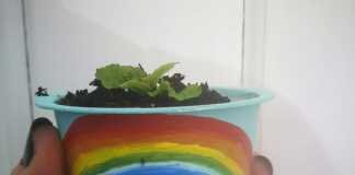 ‘Pongamos todos nuestra semilla’ para el huerto del IES Mariana Pineda pongamos todos nuestra semilla