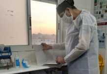 Ningún positivo en Coronavirus en las últimas 24 horas en Dos Hermanas ningún positivo