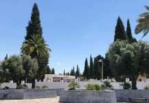 El cementerio municipal abre de nuevo sus puertas al público cementerio municipal