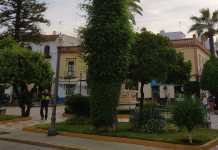 Cifras positivas en los nuevos datos de la incidencia del Coronavirus buenas cifras