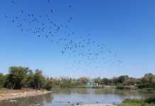 Reapertura de la Laguna de Fuente del Rey la semana próxima reapertura