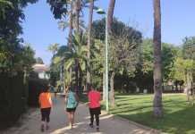 Sigue aumentando el número de casos curados por Coronavirus sigue aumentando