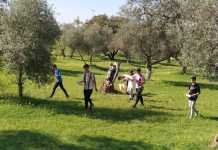 Primer circuito de orientación permanente de la provincia primer circuito de orientación