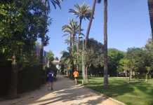 Dos nuevos curados, única novedad de los últimos datos del Covid-19 dos nuevos curados