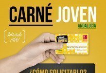 El Carné Joven Europeo se puede tramitar de forma telemática carné joven europa