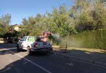 Labores de fumigación intensas contra el mosquito del Virus del Nilo labores