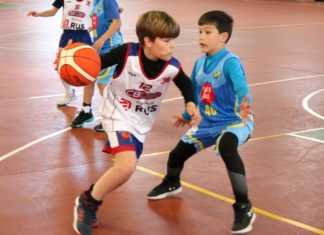 Captación de jugadores de baloncesto de ‘canasta pequeña’ captación de jugadores