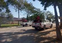 Las acciones de fumigación de mosquitos se siguen intensificando acciones