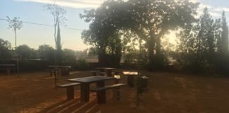 Transformación sostenible en marcha en el IES Hnos. Machado transformación sostenible