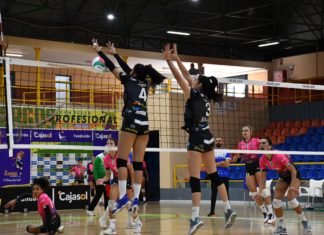 Las guerreras del Cajasol logran un punto de oro ante el líder guerreras