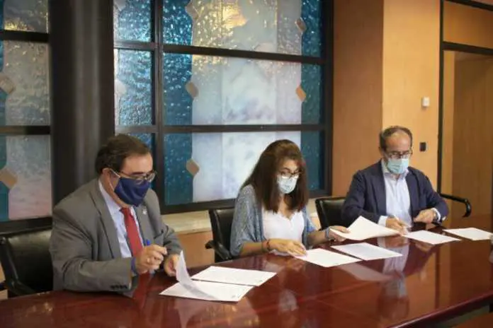 renovación