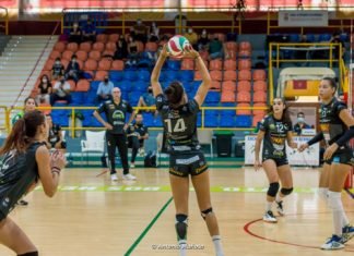 Jornada intersemanal con dura derrota para el Cajasol en Canarias jornada intersemanal