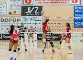 Aplazado el partido del Cajasol por casos Covid-19 en su rival aplazado