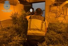 Plantación de marihuana desmantelada en el Polígono La Isla plantación de marihuana