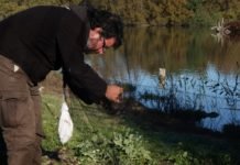 Los anillamientos de aves, más un millar en Fuente del Rey anillamientos