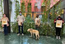 Dos campañas para conmemorar el Día del Cáncer Infantil dos campañas