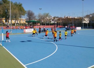 Nueva oferta de las Escuelas Deportivas Municipales nueva oferta