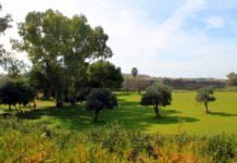 Gestión directa de las zonas verdes, petición de Adelante DH gestión directa