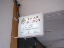 timón