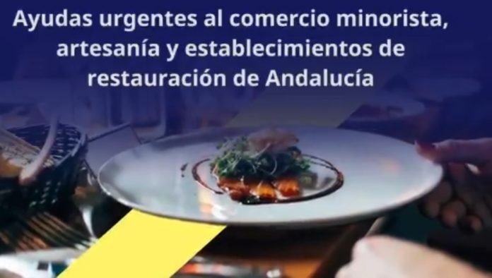 las ayudas