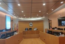 El Servicio de Ayuda a Domicilio no puede ser de gestión municipal servicio