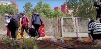 El Día Mundial del Medio Ambiente se celebra con un encuentro online día mundial del medio ambiente