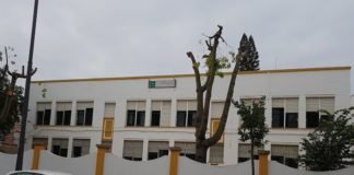 Pruebas de certificación de idiomas en la EOI Dos Hermanas pruebas de certificación