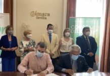 Compra del Sur, el nuevo Marketplace Digital al que se ha unido Tixe Compra del sur