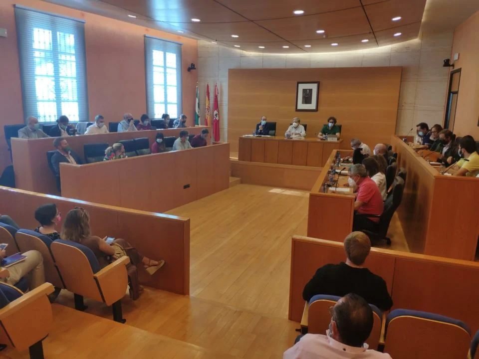 pleno del ayuntamiento