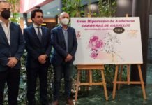 Acuerdo pionero para recuperar la actividad hípica en el hipódromo resumen informativo