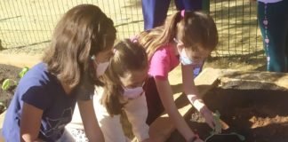 Primeras plantaciones en el huerto del colegio primeras plantaciones