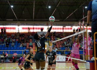 Cajasol recibe el sábado en casa a Barça CV cajasol recibe