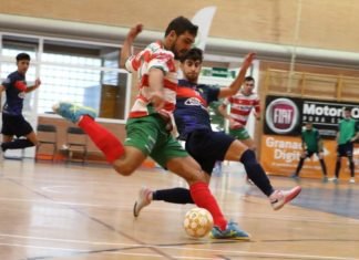 Lo intentó hasta el final sin premio lo intentó