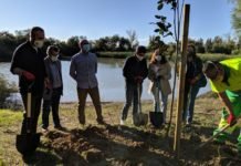 Plantación de árboles frutales en la Laguna de Fuente del Rey plantación de árboles frutales