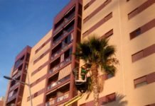 Poda de palmeras en Entrenúcleos, Montequinto y Condequinto poda