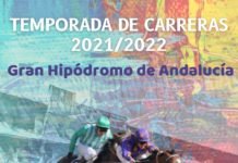 Las carreras de caballos vuelven al hipódromo carreras de caballos