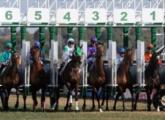 La segunda jornada hípica se dedicará a las asociaciones segunda jornada hípica