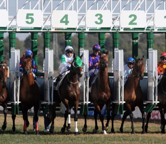 La segunda jornada hípica se dedicará a las asociaciones segunda jornada hípica