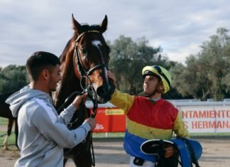 Arizkorreta sale triunfador de la segunda jornada hípica Arizkorreta