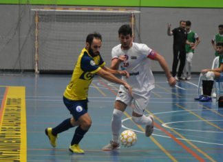 Uno de los gallitos del grupo visita al GTS Nazareno DH uno de los gallitos