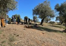 Próxima reforestación del entorno del Arroyo Culebras próxima reforestación