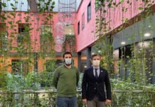 Plan de acción en beneficio de la investigación de la diabetes plan de acción