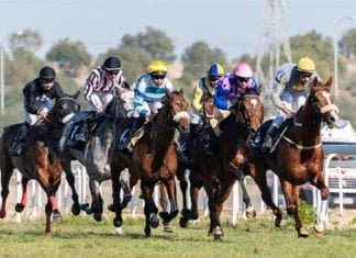 Tercera jornada de carreras de caballos en el hipódromo nazareno tercera jornada