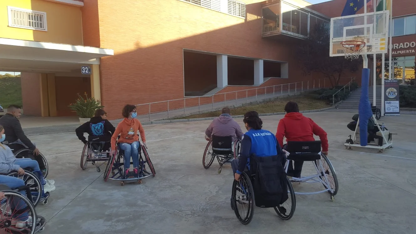 la universidad