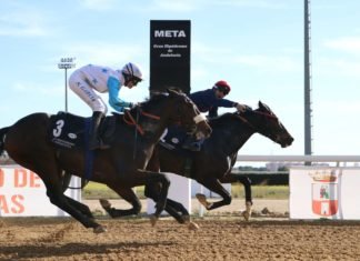 Borja Fayos, gran triunfador este domingo en el hipódromo borja fayos
