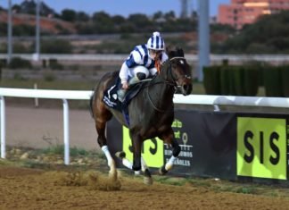 Julia Zambudio y José C. Cerquerira triunfan en el hipódromo julia