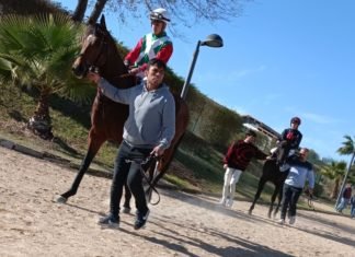 La prensa protagoniza la última jornada de carreras de caballos de 2021 la prensa