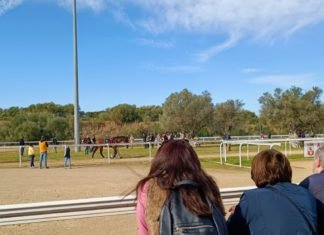 Primera jornada de 2022 en el Gran Hipódromo de Andalucía primera jornada de 2022