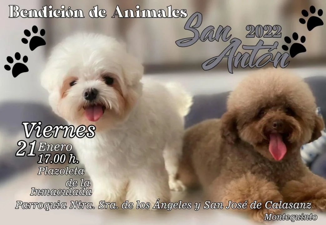 bendición de animales