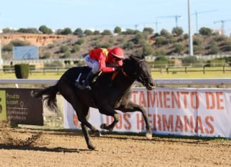 Nicolás Valle y Paco Jiménez, triunfadores de la jornada en Dos Hermanas nicolás valle